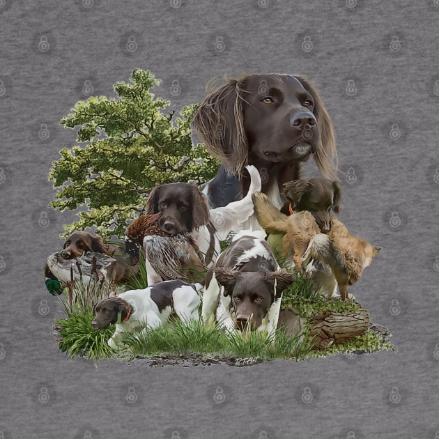 Munsterlander by German Wirehaired Pointer 